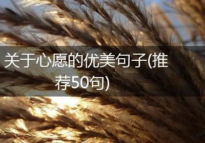 关于心愿的优美句子(推荐50句)