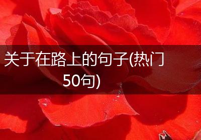 关于在路上的句子(热门50句)