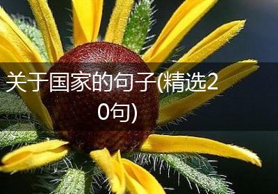 关于国家的句子(精选20句)