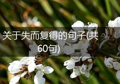 关于失而复得的句子(共60句)