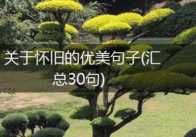 关于怀旧的优美句子(汇总30句)