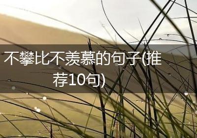 不攀比不羡慕的句子(推荐10句)