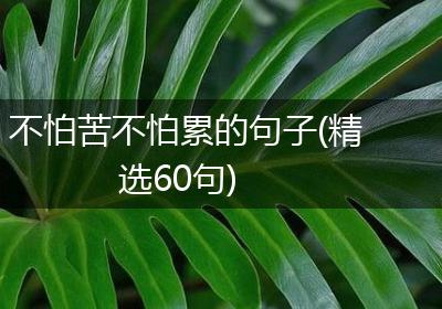 不怕苦不怕累的句子(精选60句)