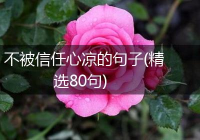 不被信任心凉的句子(精选80句)