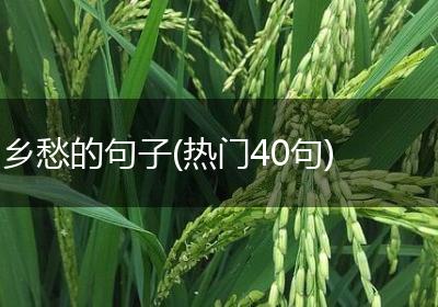 乡愁的句子(热门40句)