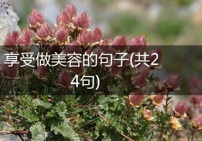 享受做美容的句子(共24句)