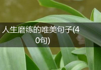 人生磨练的唯美句子(40句)