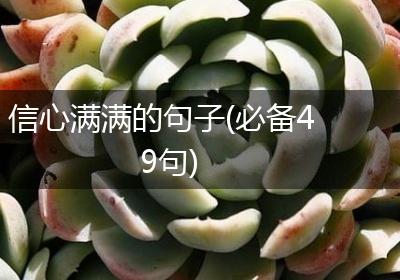 信心满满的句子(必备49句)
