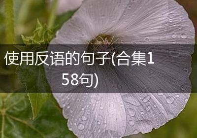 使用反语的句子(合集158句)