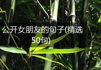 公开女朋友的句子(精选50句)