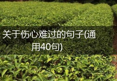 关于伤心难过的句子(通用40句)