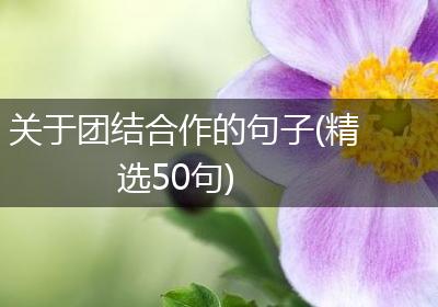 关于团结合作的句子(精选50句)