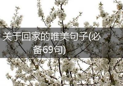 关于回家的唯美句子(必备69句)