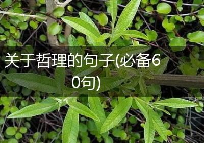 关于哲理的句子(必备60句)