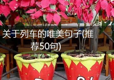 关于列车的唯美句子(推荐50句)