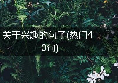 关于兴趣的句子(热门40句)
