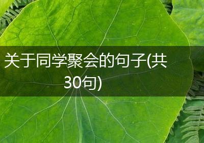 关于同学聚会的句子(共30句)