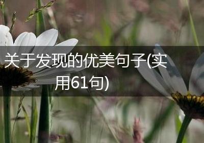 关于发现的优美句子(实用61句)