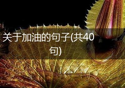 关于加油的句子(共40句)