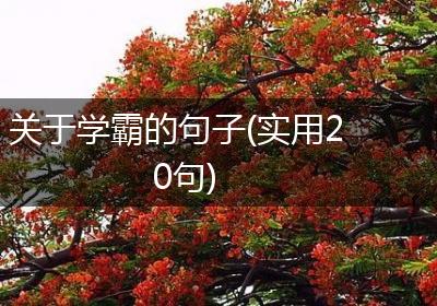 关于学霸的句子(实用20句)