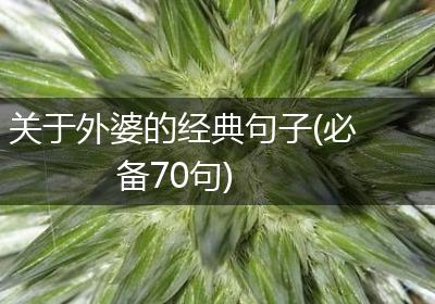 关于外婆的经典句子(必备70句)