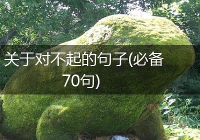 关于对不起的句子(必备70句)