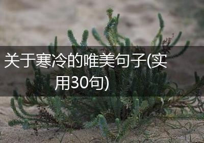 关于寒冷的唯美句子(实用30句)