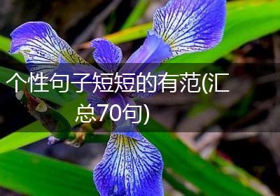 个性句子短短的有范(汇总70句)