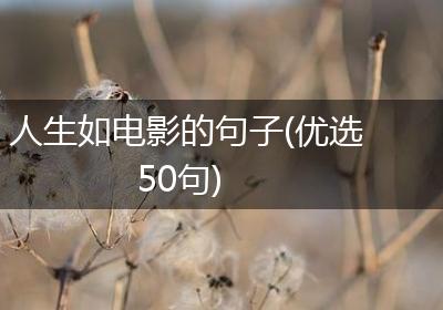 人生如电影的句子(优选50句)