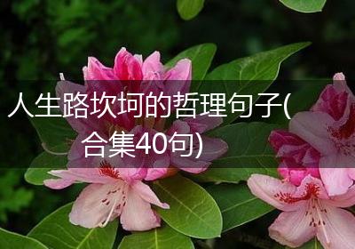 人生路坎坷的哲理句子(合集40句)