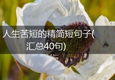 人生苦短的精简短句子(汇总40句)