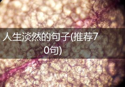 人生淡然的句子(推荐70句)