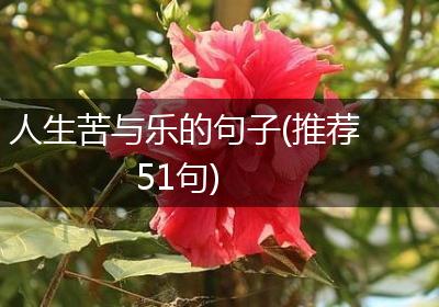 人生苦与乐的句子(推荐51句)