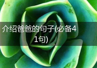 介绍爸爸的句子(必备41句)
