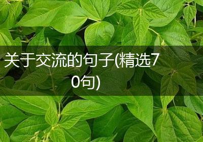 关于交流的句子(精选70句)