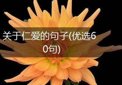 关于仁爱的句子(优选60句)