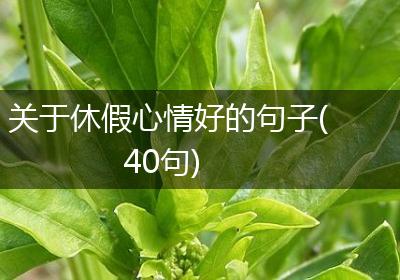 关于休假心情好的句子(40句)