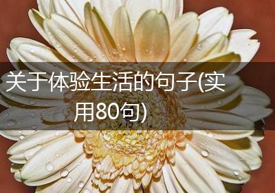 关于体验生活的句子(实用80句)