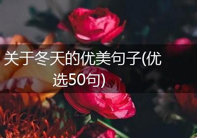 关于冬天的优美句子(优选50句)