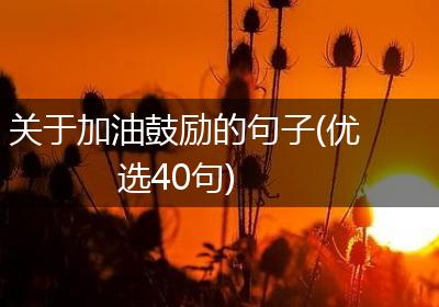 关于加油鼓励的句子(优选40句)