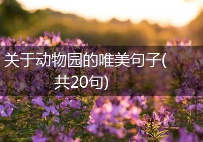 关于动物园的唯美句子(共20句)