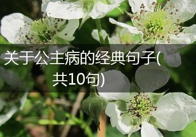 关于公主病的经典句子(共10句)