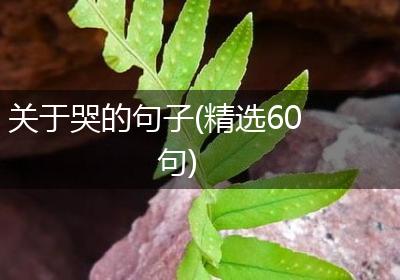 关于哭的句子(精选60句)