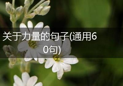 关于力量的句子(通用60句)