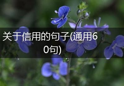关于信用的句子(通用60句)