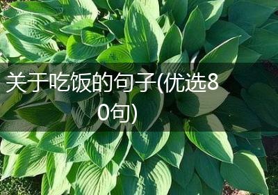 关于吃饭的句子(优选80句)