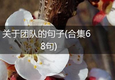 关于团队的句子(合集68句)