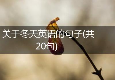 关于冬天英语的句子(共20句)