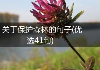 关于保护森林的句子(优选41句)