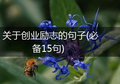 关于创业励志的句子(必备15句)
